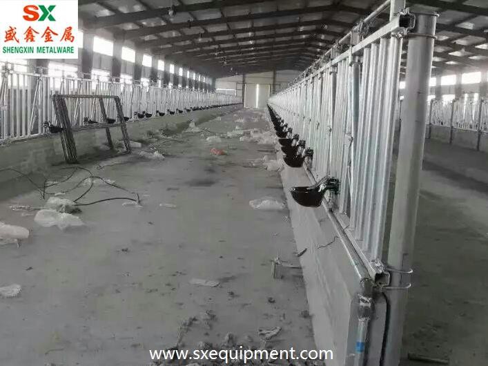 Iron Cast Cattle Water Bowl