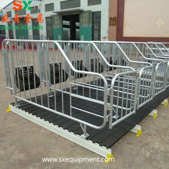 Pig Gestation Stall